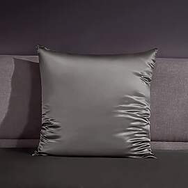 THXSILK 22 Momme Seide Kissenbezug - 100% Seide