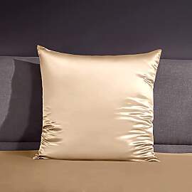 THXSILK 22 Momme Seide Kissenbezug - 100% Seide
