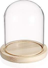 TOLIDA Natürlichen Glaskuppel mit