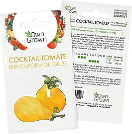 Tomaten Samen Yellow Pearshaped: Birnenförmige
