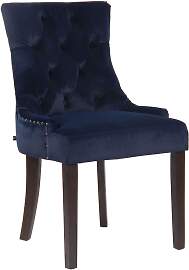 TPFLiving Esszimmerstuhl Aboli Samt antik - Blau