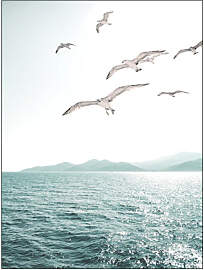 TPFLiving Gold Luxus Poster Leinwand verschiedene