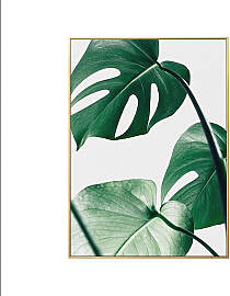 TPFLiving Poster Leinwand / Goldene Ananas und