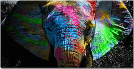 TPFLiving Poster Leinwand / Grafitti Art - Bunter