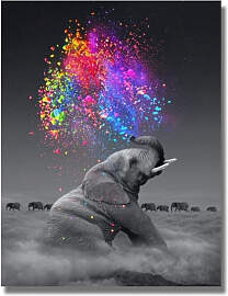 TPFLiving Poster Leinwand / Grauer Elefant mit