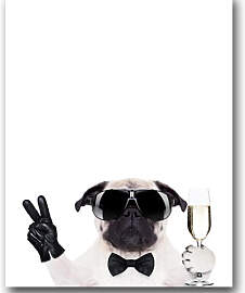 TPFLiving Poster Leinwand / Lustige Hunde mit