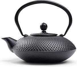 Traditionelle Japanische Gusseisen Teekanne,