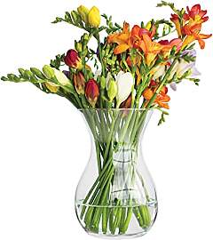 TREND FOR HOME Blumenvase Vase Glas Glasvase für