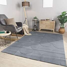 TT Home Wohnzimmer Teppich Esszimmer Kurzflor