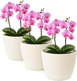 TULMERO Blumentopf matt, Pflanzkübel aus