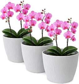 TULMERO Blumentopf matt, Pflanzkübel aus