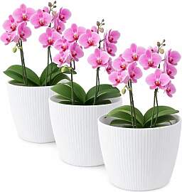 TULMERO Blumentopf matt, Pflanzkübel aus