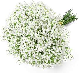 Uhky 6 Stk Künstliche Baby Atem Gypsophila