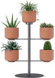 UMBRA Terrapotta Blumenständer mit 5 Terracotta