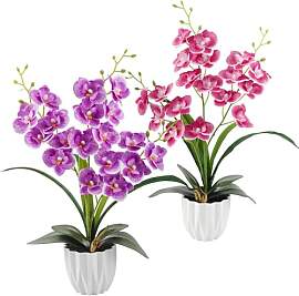 Vaskula 2 Stücke Orchideen Künstlich 44cm