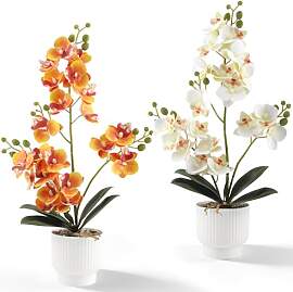Vaskula 2 Stücke Orchideen Künstlich Kunstblumen 