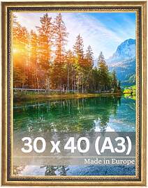 VictoR Bilderrahmen Boho 3er Set gold in 30x40 cm