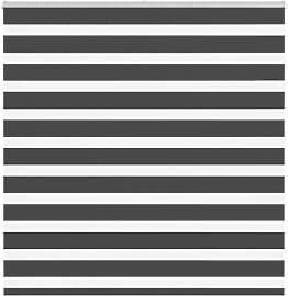 vidaXL Doppelrollo Schwarz 140x150 cm Stoffbreite