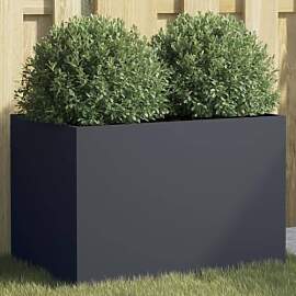 vidaXL Pflanzkübel, Blumenkübel für Dekoration, 