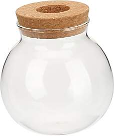 VILLFUL Hydroponische Vase Glas Ball Vase Für