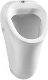 VitrA Options Urinal 6202L003D0202 31,5x31x56,5cm, 