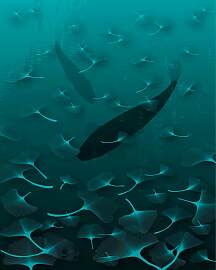 Vliestapete KOMAR "Digitaldruck Vlies -