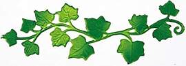 Wachsmotiv „Efeuranke", 12,5 x 4 cm, 1
