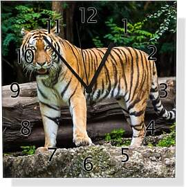 Wallario Design-Wanduhr Blick des Tigers aus Glas, 