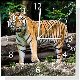 Wallario Design-Wanduhr Blick des Tigers aus Glas, 