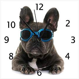 Wallario Design-Wanduhr Cooler Hund mit