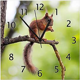 Wallario Design-Wanduhr Eichhörnchen auf einem