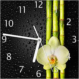 Wallario Design-Wanduhr Grüne Orchidee mit Bambus 