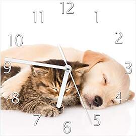 Wallario Design-Wanduhr Katze und Hund in Harmonie 