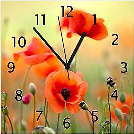 Wallario Design-Wanduhr Mohnblumenblüten aus