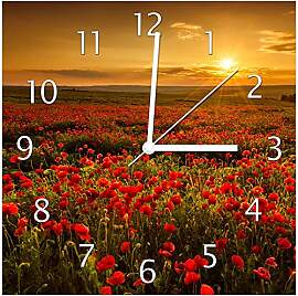 Wallario Design-Wanduhr Mohnblumenwiese bei