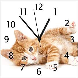 Wallario Design-Wanduhr Süße Katze mit großen