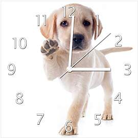 Wallario Design-Wanduhr Süßer Labrador-Welpe