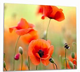 Wallario Herdabdeckplatte aus Glas, 2-teilig,