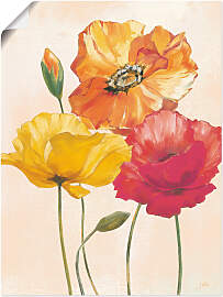 Wandbild ARTLAND "Bunte Mohnblumen I",
