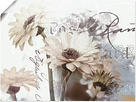 Wandbild ARTLAND "Gerberas_Detail",