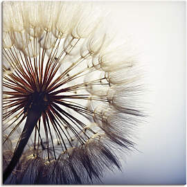Wandbild ARTLAND "Große Pusteblume",