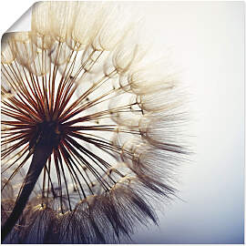 Wandbild ARTLAND "Große Pusteblume",