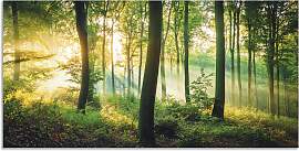 Wandbild ARTLAND "Herbst im Wald II",