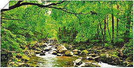 Wandbild ARTLAND "Herbstwald Fluss