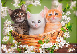 Wandbild ARTLAND "Katzen sitzen in einem