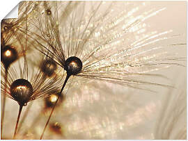 Wandbild ARTLAND "Pusteblume Goldener