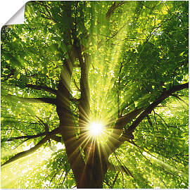 Wandbild ARTLAND "Sonne strahlt explosiv