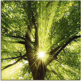 Wandbild ARTLAND "Sonne strahlt explosiv