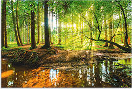 Wandbild ARTLAND "Wald mit Bach", grün