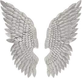 Wanddekoration Mauro Ferretti Ali Beauty Coppia